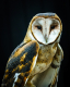Owls-2